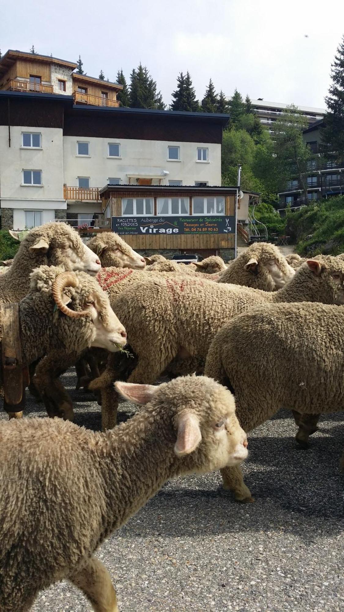 Auberge Restaurant Du Virage شاروس المظهر الخارجي الصورة